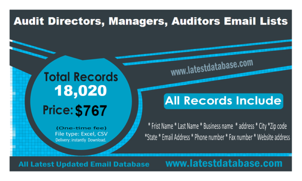 Audit Directors, Managers, Auditors Customer service Email Datas